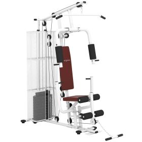 Home Gym, Multifunction Gym Equipment Workout Station with 100Lbs Weight Stack for Lat Pulldown, Leg Extensions, Preacher Bicep Curls (Color: White)
